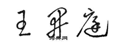 駱恆光王開庭草書個性簽名怎么寫