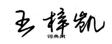 朱錫榮王梓凱草書個性簽名怎么寫