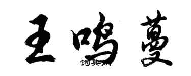 胡問遂王鳴蔓行書個性簽名怎么寫