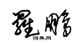 朱錫榮羅鵬草書個性簽名怎么寫