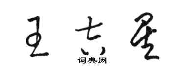 駱恆光王吉星草書個性簽名怎么寫