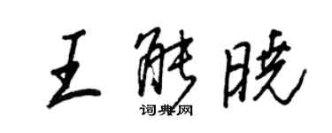 王正良王能曉行書個性簽名怎么寫