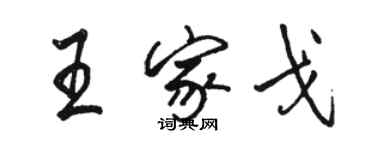 駱恆光王家戈行書個性簽名怎么寫