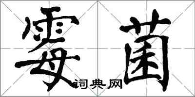 翁闓運黴菌楷書怎么寫