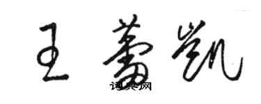 駱恆光王蕾凱草書個性簽名怎么寫