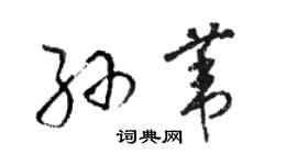 駱恆光孫葦草書個性簽名怎么寫