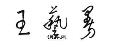 駱恆光王藝曼草書個性簽名怎么寫