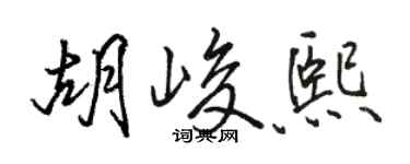 駱恆光胡峻熙行書個性簽名怎么寫