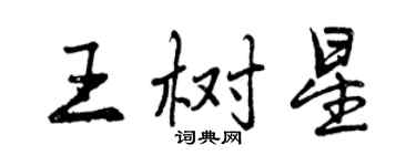 曾慶福王樹星行書個性簽名怎么寫
