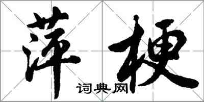 胡問遂萍梗行書怎么寫