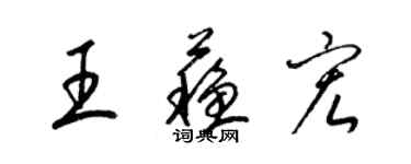 梁錦英王蘇宏草書個性簽名怎么寫