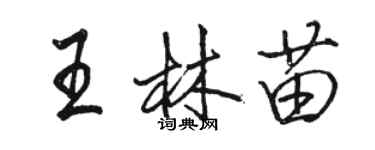 駱恆光王林苗行書個性簽名怎么寫