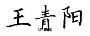 丁謙王青陽楷書個性簽名怎么寫