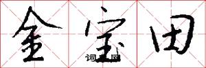 金寶田怎么寫好看