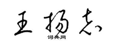 梁錦英王揚志草書個性簽名怎么寫