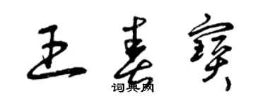 曾慶福王春寶草書個性簽名怎么寫