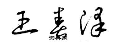 曾慶福王春澤草書個性簽名怎么寫