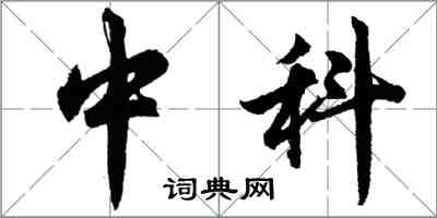 胡問遂中科行書怎么寫