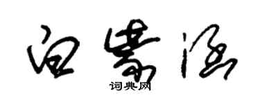 朱錫榮白紫涵草書個性簽名怎么寫