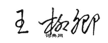 駱恆光王柳卿草書個性簽名怎么寫