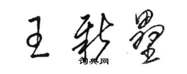 駱恆光王新壘草書個性簽名怎么寫