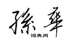 王正良孫華行書個性簽名怎么寫