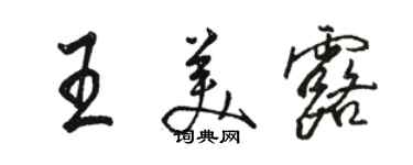 駱恆光王美露行書個性簽名怎么寫