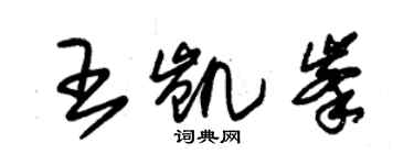 朱錫榮王凱峰草書個性簽名怎么寫