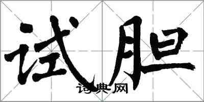 翁闓運試膽楷書怎么寫