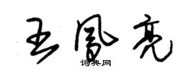 朱錫榮王鳳亮草書個性簽名怎么寫