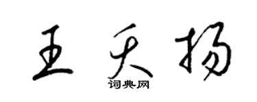 梁錦英王夭揚草書個性簽名怎么寫