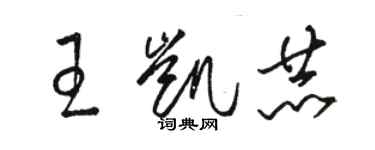 駱恆光王凱赫草書個性簽名怎么寫