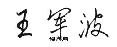 駱恆光王軍波行書個性簽名怎么寫