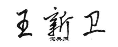 駱恆光王新衛行書個性簽名怎么寫