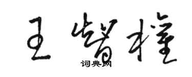 駱恆光王智權草書個性簽名怎么寫