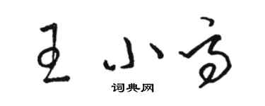 駱恆光王小高草書個性簽名怎么寫