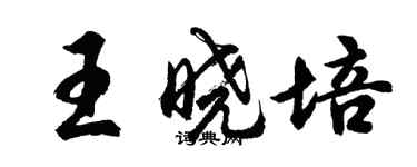 胡問遂王曉培行書個性簽名怎么寫