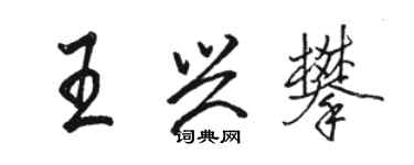 駱恆光王興攀行書個性簽名怎么寫