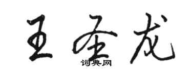 駱恆光王聖龍行書個性簽名怎么寫