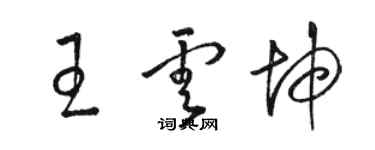 駱恆光王雲坤草書個性簽名怎么寫