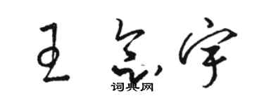 駱恆光王念宇草書個性簽名怎么寫