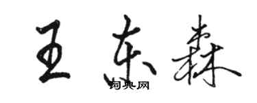 駱恆光王東森行書個性簽名怎么寫