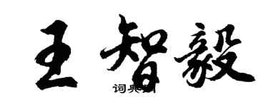 胡問遂王智毅行書個性簽名怎么寫
