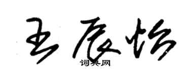 朱錫榮王辰怡草書個性簽名怎么寫