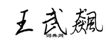 王正良王武飈行書個性簽名怎么寫