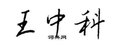 王正良王中科行書個性簽名怎么寫