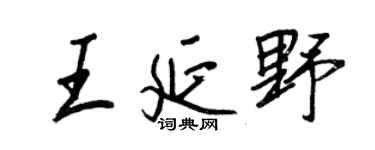 王正良王延野行書個性簽名怎么寫