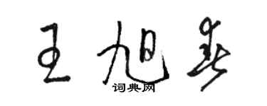 駱恆光王旭春草書個性簽名怎么寫