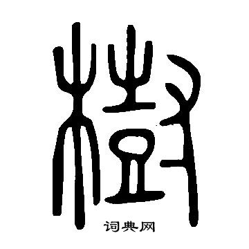 說文解字寫的樹