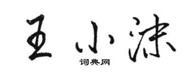 駱恆光王小沫行書個性簽名怎么寫